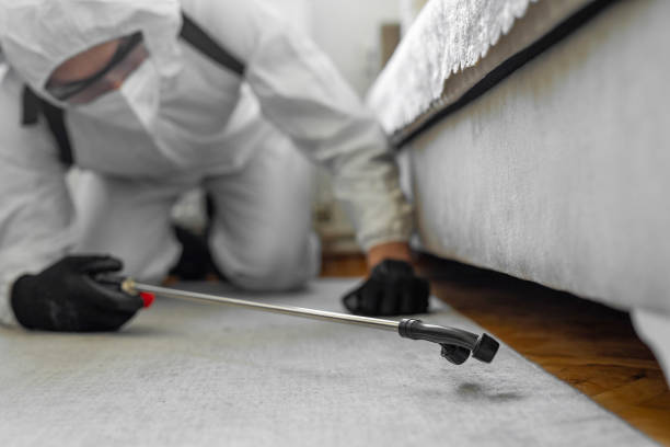 Professional Bed Bug Control technician working in Burnham, PA